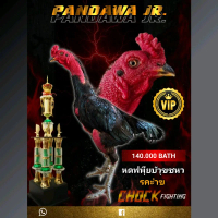 DESIGN PAMFLET AYAM KEREN TERBARU 2026