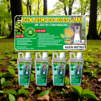 POC POLES 5 JARI VITAMIN PERANGSANG GETAH KARET ORGANIK 1000 ML