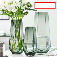 北歐簡約玻璃花瓶透明創意水養玫瑰百合花瓶客廳插花擺件花器