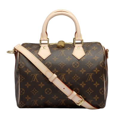 Louis Vuitton Speedy 25 Brown Cloth ref.922712 - Joli Closet