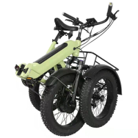 Electric tricycle adult freight