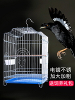 鳥籠 鳥籠八哥玄鳳鷯哥鸚鵡鳥籠子大號特大號超大家用活鳥專用不銹鋼色『CM45379』