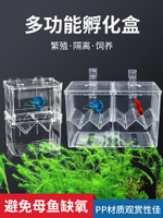 魚缸孵化盒孔雀魚繁殖盒缸外用小魚鳳尾金魚幼魚產房孔雀魚繁殖箱