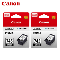 【CANON 佳能】PG-745 2入組 原廠墨水匣 含台灣保固標籤貼 PG745 適 MG2470 TR4670 MX497