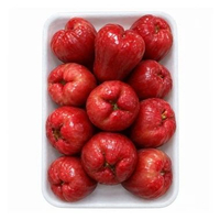 JAMBU MERAH CITRA 720 - 800 GR