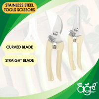 AgroBuddy Gunting Pangkas Ranting Lurus Melengkung | Straight Elbow Stainless Steel Secateurs Prunin