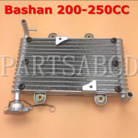 Bashan 200CC 250CC ATV Quad Radiator For Bashan 200-250CC ATV