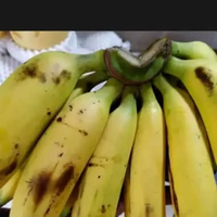 pisang uli 1 sisir