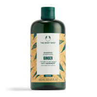 【THE BODY SHOP】薑根鏗活調理洗髮精-400ML