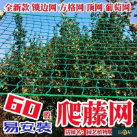 2米3米寬園藝植物爬藤網瓜網苦瓜絲瓜黃瓜豆角葡萄百香果藤蔓攀爬網搭架網加粗爬藤網瓜果種植網防護網