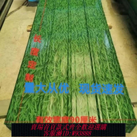 {臺灣公司貨 可打統編}小草迷彩彩鋼瓦圍擋施工工地隔斷擋板樹脂瓦廠家直銷彩鋼瓦批發