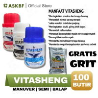 JAMU MERPATI VITASHENG BONUS RING 5 TINGGI KOLONG BALAP