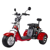 china Electric Tricycle In Scooters adult tricycle 3 wheel Mobility Scooter golf scooter