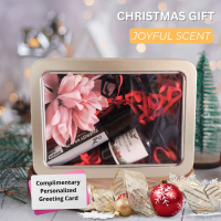 PAI Joyful Gift Set for Christmas Present exchange gift event door gift