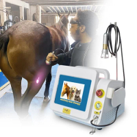 Diode laser 980nm pet hospital 60w class iv physiotherapy veterinary therapeutic laser equipment