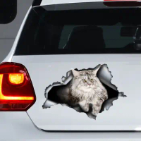 Grey Maine Coon car decal, Grey cat decal, grey Maine Coon sticker