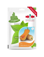 Benih Butternut Labu Madu F1 Squash Cap Panah Merah Isi 5 Butir