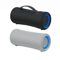 SONY SRS-XG300 可攜式防潑灑 無線 運動 便攜 快充 IPX67 防水防鏽防塵 日本代購