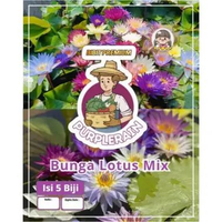 Bibit Premium Bunga Lotus Mix | Biji Benih Bunga Lotus Mix | Lotus Mix