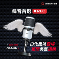 AVerMedia 圓剛 AM310 白化版 黑鳩直播錄音麥克風