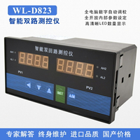 上海威爾太WL-D823雙回路雙光柱溫度壓力液位顯示控制儀RS485