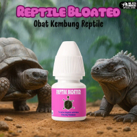 MR TORTO - REPTILE BLOATED / Obat kembung reptil / obat kembung / obat kembung reptil