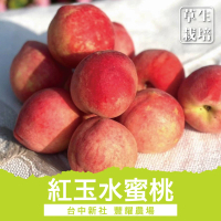 【十翼饌選果】豐耀農場 台中新社草生紅玉水蜜桃6粒/1.6斤x2箱(黑貓低溫配送)