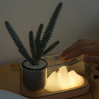 山色USB充電小夜燈 桌面植栽檯燈 Plant Lamp 氛圍燈 可調光 (不含植物)