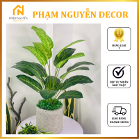 [Cây giả]- Hàng loại 1- Cây Chuối cảnh mini - Trang Trí Cửa Hàng, Studio, Showroom, Tiệm Quán, Văn P