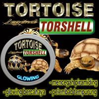 TORTOISE TORSHELL CONDITIONER PELEMBAB KARAPAS TORTOISE BERVITAMIN MELEMBABKAN TEMPURUNG  KURA-KURA 