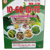 10 - 60 - 10 + TE NPK TYM CHUYÊN PHÂN HOÁ MẦM HOA