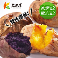 【瓜瓜園】 冰烤番薯雙色嚐鮮組(冰烤地瓜1kgx2包+紫心地瓜1kgx2盒)