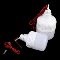 หลอดไฟ LED, Ampoule LED, หลอดไฟ 12V, หลอดไฟ 20W และ 30W, หลอดไฟทรงจุด, แบบพกพา
