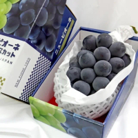 【切果季】日本巨峰貓眼葡萄1房x1盒(700g/串_禮盒組)(中秋禮盒)