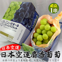 【果之蔬】日本空運無籽麝香葡萄(1房禮盒_450-500g/串)