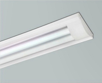 【燈王的店】 LED T8 2尺 雙管 加蓋日光燈具(附燈管) TYL332B-W 易碎品限自取