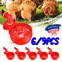 Poultry Automatic Drinking Bowl Automatic Feeding Chicken Water Dispenser Plastic Water Dispenser Easy To Install and Clean