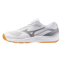 MIZUNO 美津濃 排球鞋 男鞋 女鞋 運動鞋 3E寬楦 CYCLONE SPEED 白 V1GA258056
