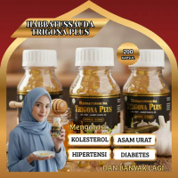 Habbatussauda Trigona Propolis 200 Kapsul Extract Habbatussauda Propolis Trigona Zaitun Garlic Oil
