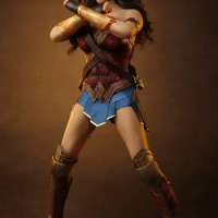 Original Hottoys Ht Dc 1/6 Mms698 Wonder Woman Warner 100 Limited Edition 300 Birthday Limited Edition Justice League In Stock