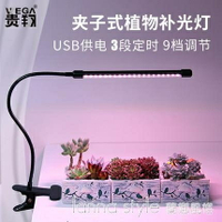 🔥情人節限定🔥多肉補光燈USB夾子式上色全光譜LED花卉盆景植物燈生長燈LannaYTL 全館免運