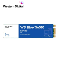 WD 威騰 藍標 SA510 1TB M.2 2280 SATA SSD(讀：560MB/s 寫：530MB/s)