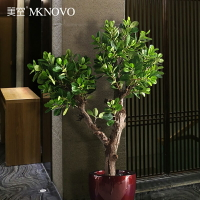 美空仿真熊貓榕假樹盆栽擺件藤葉植物裝飾永生樹枝天然實木仿真樹