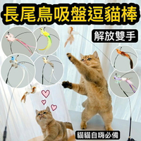 『台灣x現貨秒出』長尾鳥吸盤逗貓棒 貓咪自嗨 貓玩具 寵物玩具 貓貓玩具 貓自嗨 逗貓玩具