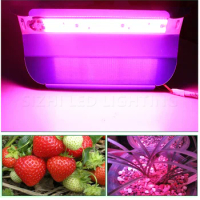 10X Full Spectrum LED Phyto Lamp High Power 50W 80W LED Grow Light Waterproof 110V 220V For Indoor Plants Greenhouse Hydroponic