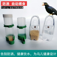 鳥用飲水器自動喂食器喂水喝水器八哥鸚鵡食盒喂鳥食鳥籠配件用品