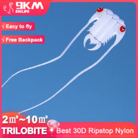 9KM 2sqm~10sqm Trilobite Kite Soft Inflatable Line Laundry Kite 30D Ripstop Nylon with Bag for Kite Festival (Accept wholesale)