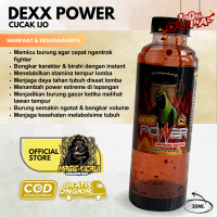 Dexx Power cucak ijo Penggacor Burung Cucak Ijo Vitamin burung
