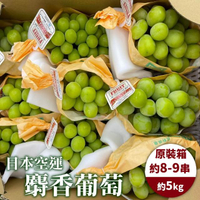 【WANG 蔬果】日本長野縣溫室麝香葡萄(原裝8-10串/約5kg)