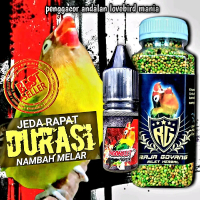 1 PAKET MILET + VIT NGONSLET FIGHTER /PENGGACOR LOVEBIRD/PEJEBOL BIRAHI DAN DURASI LOVEBIRD
